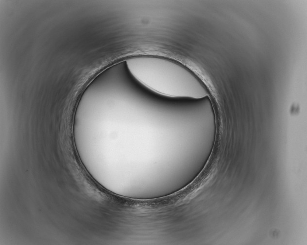 X0000102360481200808011003
