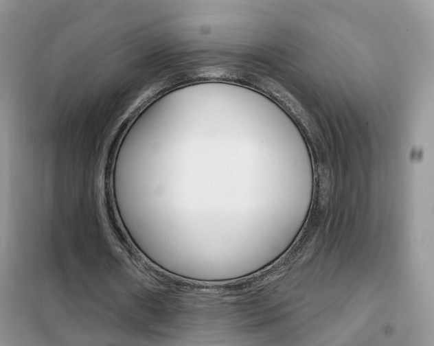 X0000102360482200808011003