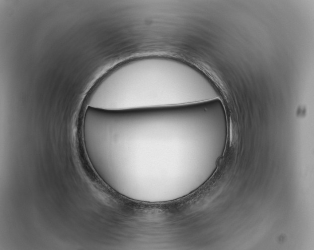 X0000102360483200808011003