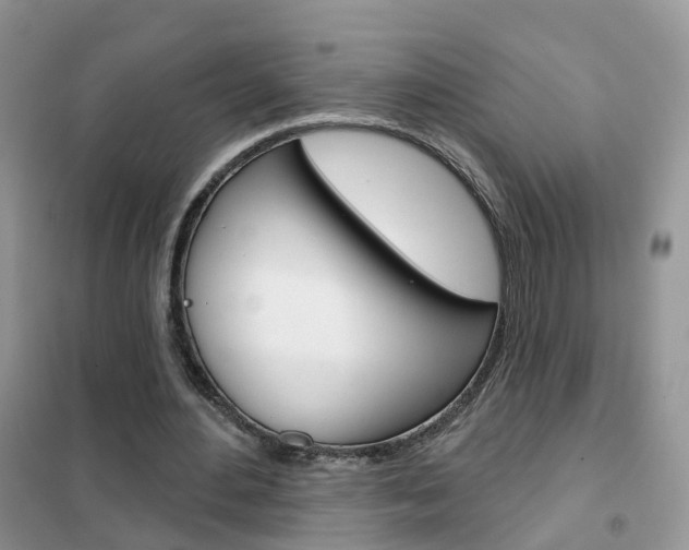 X0000102360484200808011003