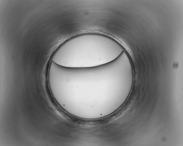 X0000102360485200808011003