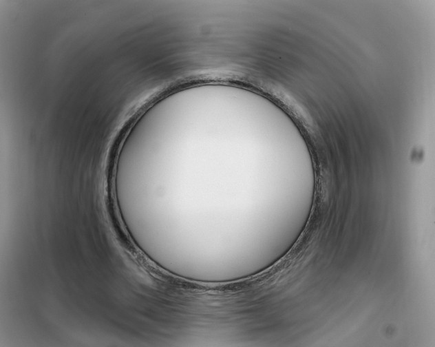 X0000102360486200808011003