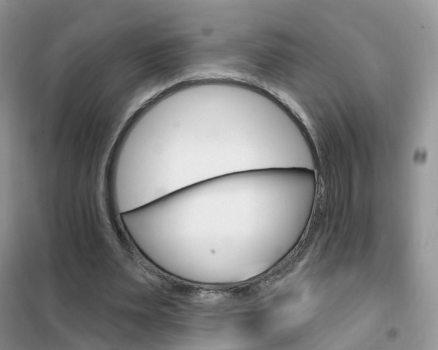 X0000102360487200808011003