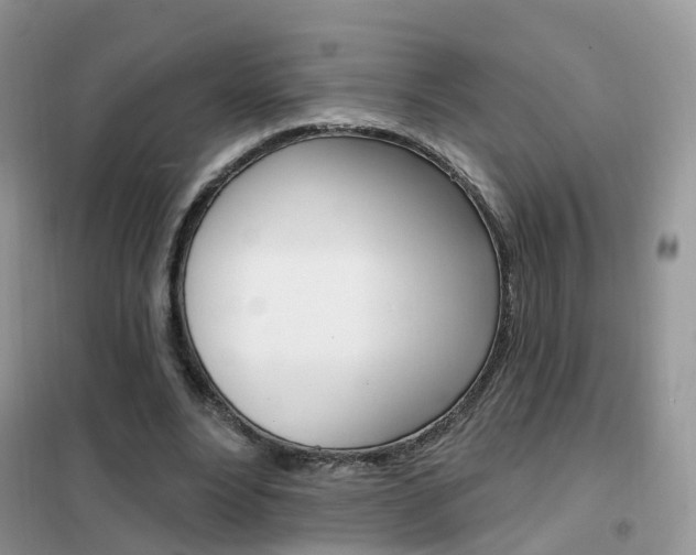 X0000102360488200808011003