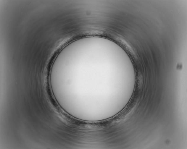 X0000102360490200808011003