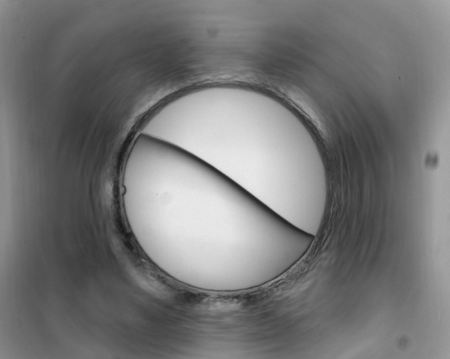 X0000102360491200808011003