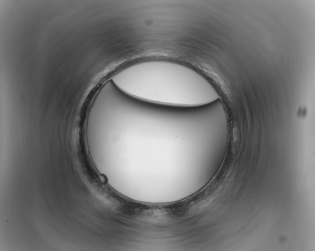 X0000102360492200808011003