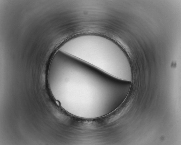 X0000102360493200808011003