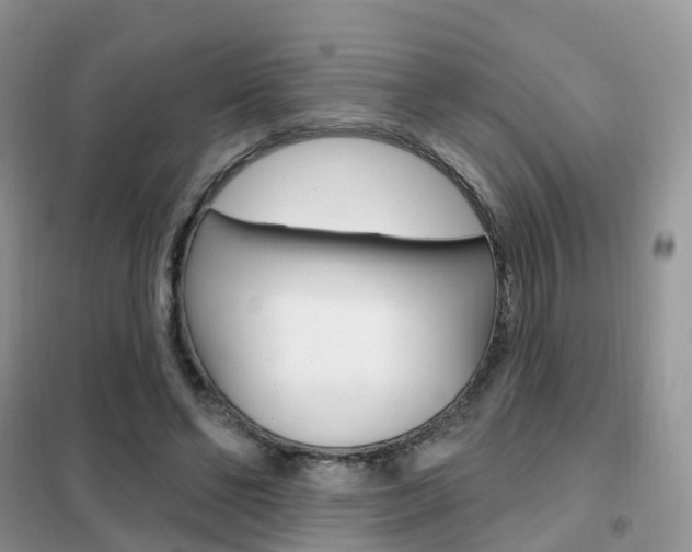 X0000102360494200808011003