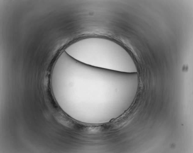 X0000102360495200808011003