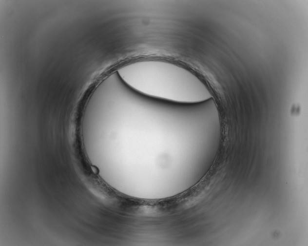 X0000102360496200808011003