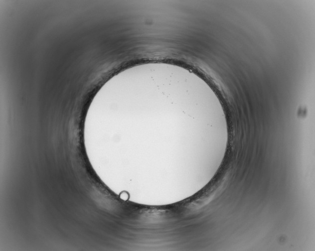 X0000102360497200808011003