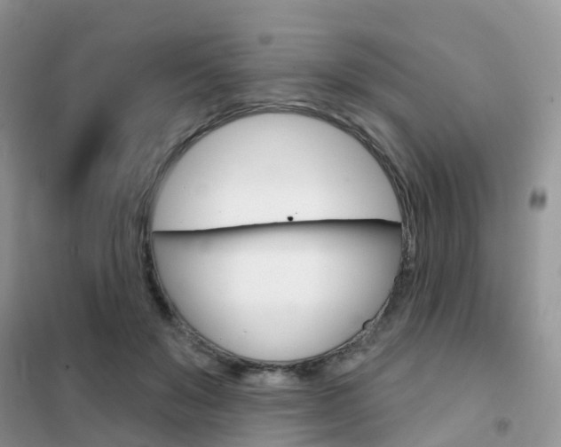 X0000102360503200808011002