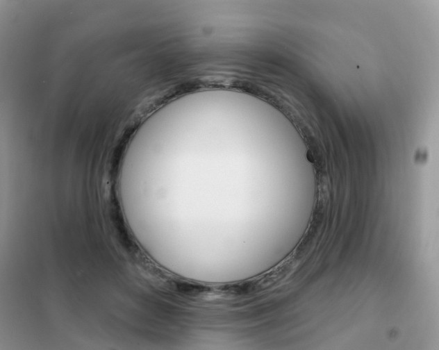 X0000102360504200808011002