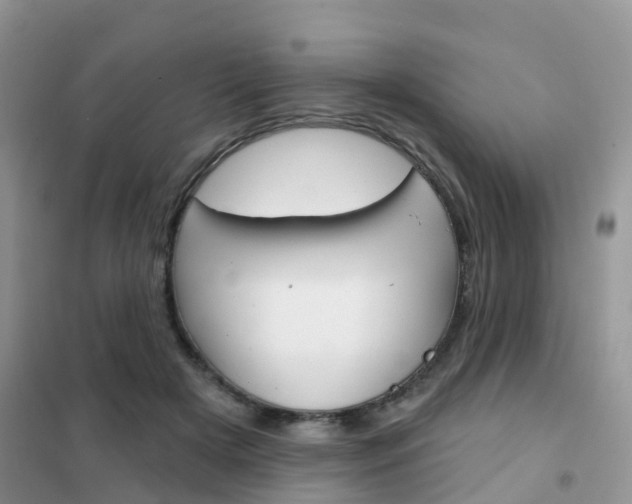 X0000102360505200808011002