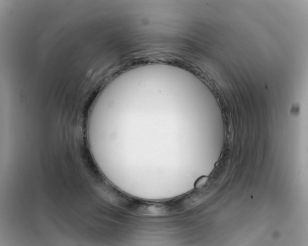 X0000102360506200808011002