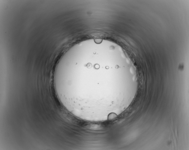 X0000102360507200808011002