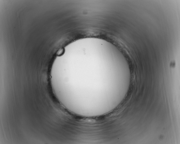 X0000102360512200808011002