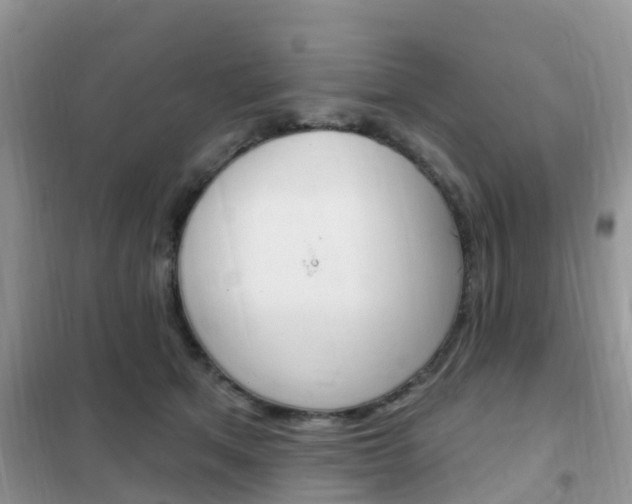 X0000102360513200808011002