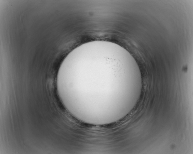 X0000102360515200808011002