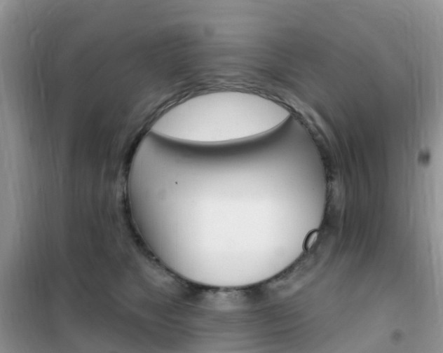X0000102360517200808011002