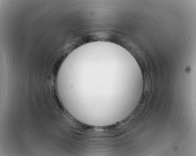 X0000102360518200808011002
