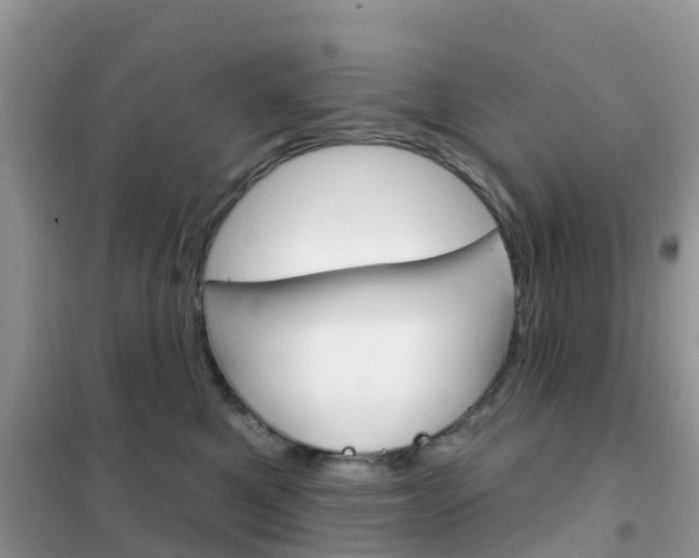 X0000102360521200808011002