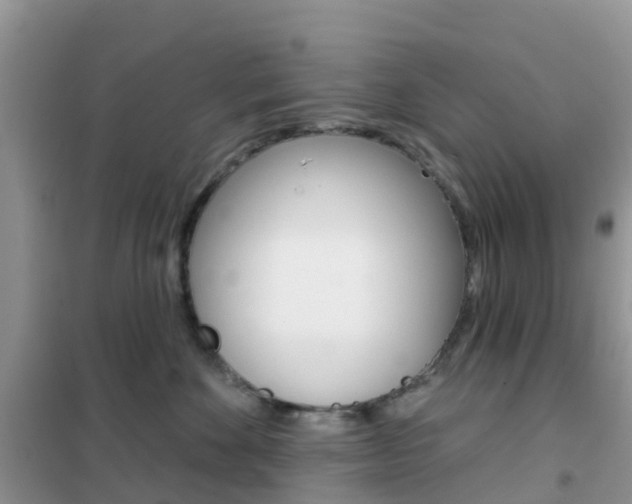 X0000102360524200808011002