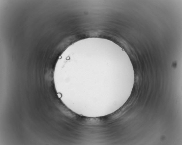 X0000102360525200808011002