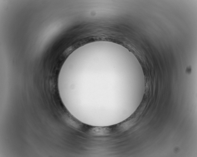 X0000102360526200808011002