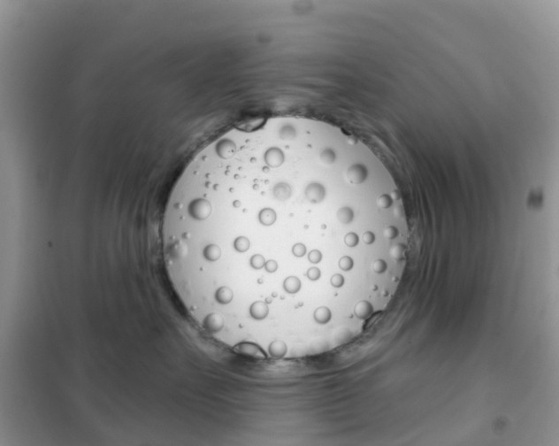 X0000102360527200808011002