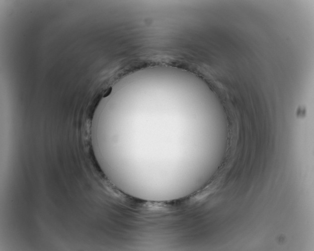 X0000102360528200808011002