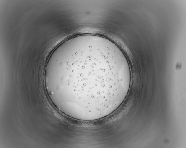X0000102360529200808011001