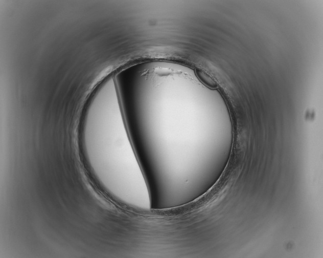 X0000102360530200808011001