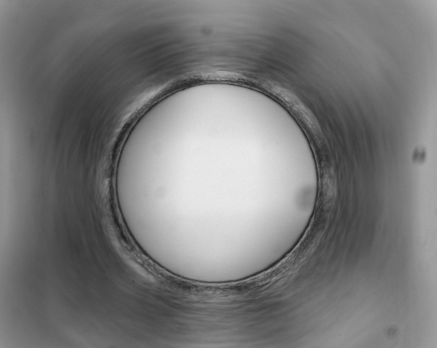 X0000102360533200808011001