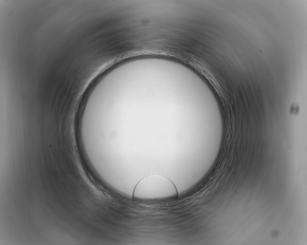 X0000102360534200808011001