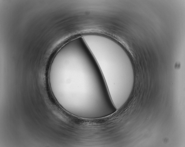 X0000102360535200808011001