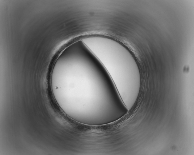 X0000102360536200808011001