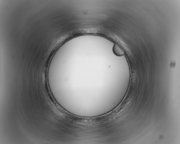 X0000102360537200808011001