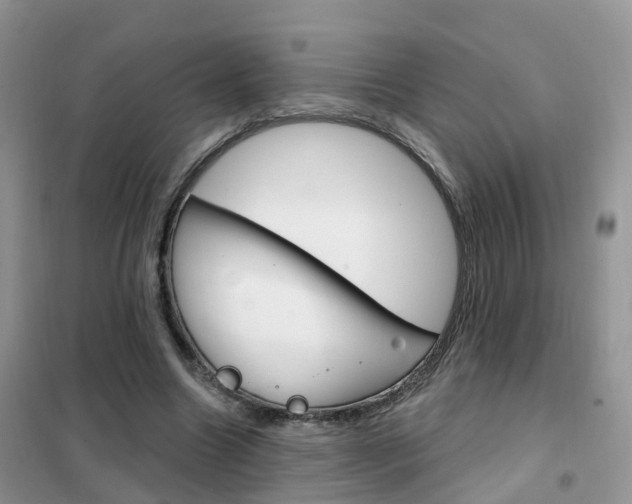 X0000102360538200808011001