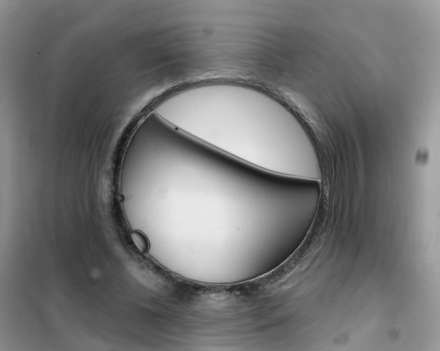 X0000102360540200808011002