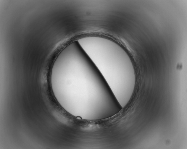 X0000102360543200808011002
