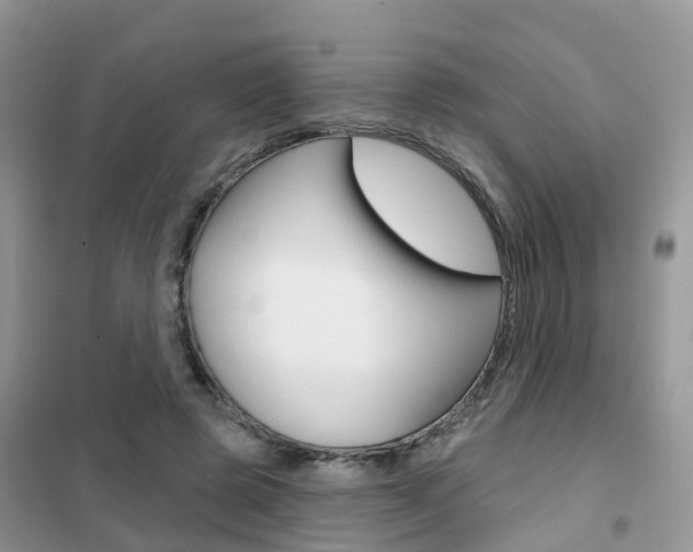 X0000102360545200808011002