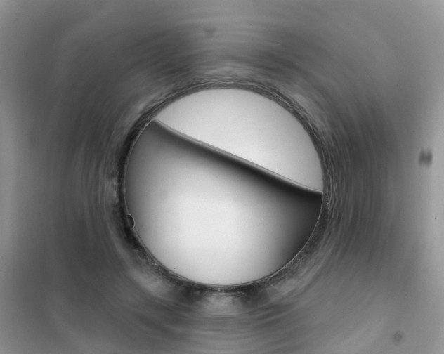 X0000102360547200808011002