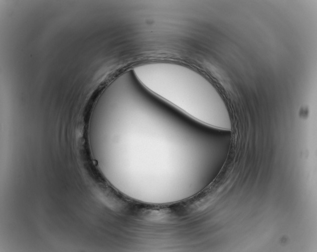 X0000102360548200808011002