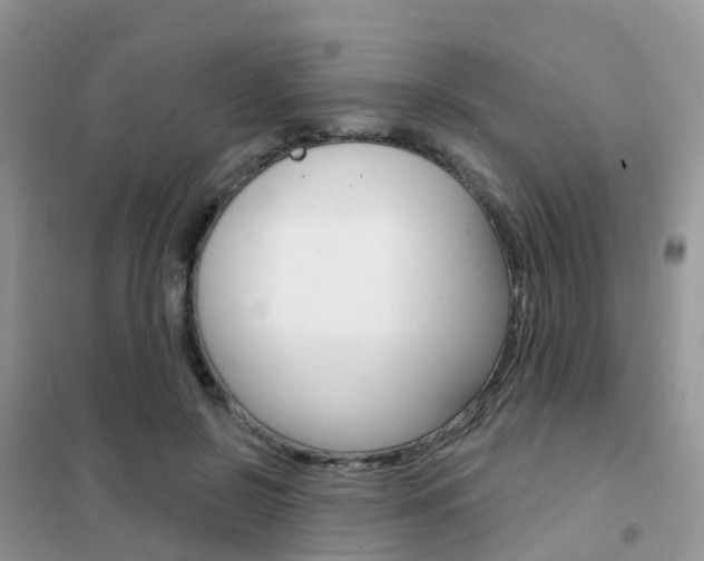 X0000102360550200808011002