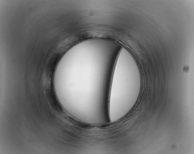 X0000102360551200808011002