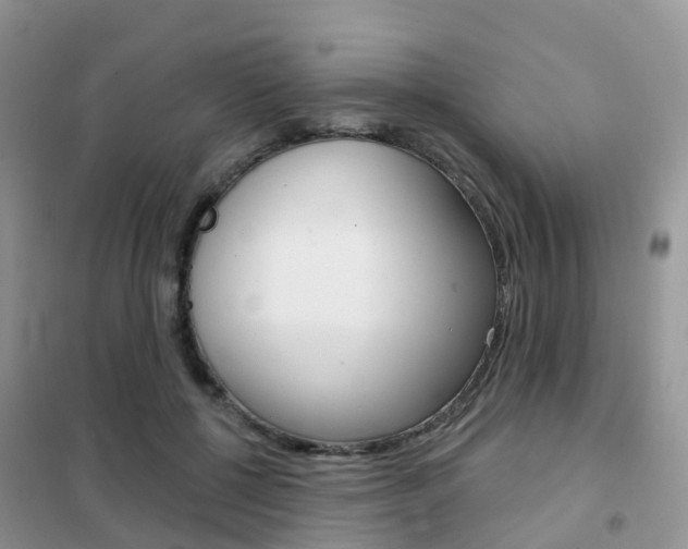 X0000102360552200808011002