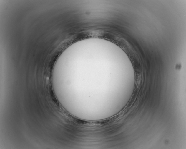 X0000102360553200808011002
