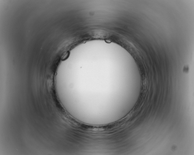 X0000102360554200808011002